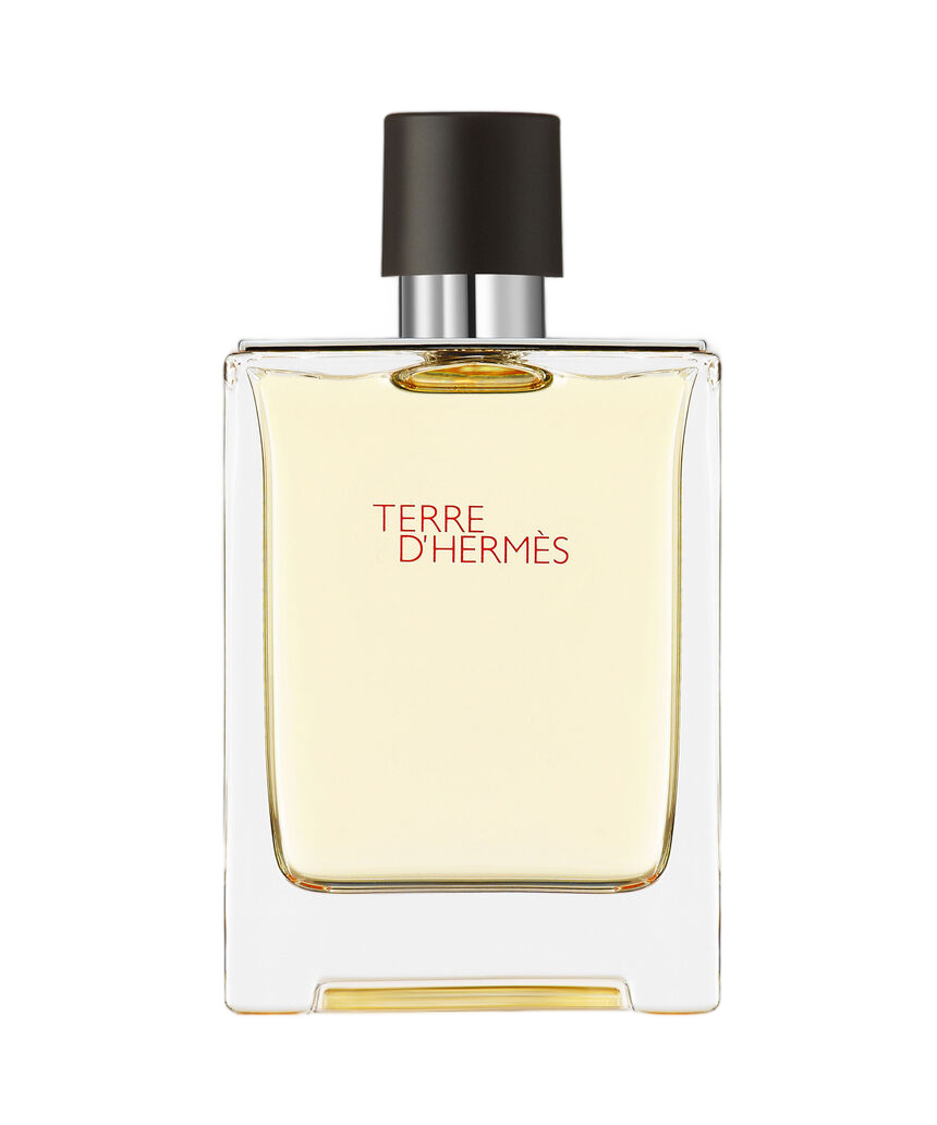 Terre D’Hermes Edt